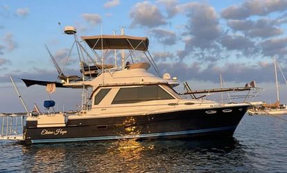 30' Cutwater 2017