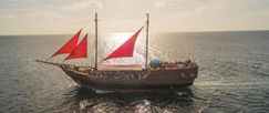 Custom Pirate Ship