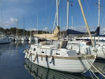 Maple Leaf 23'