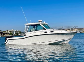 31' Boston Whaler 2016