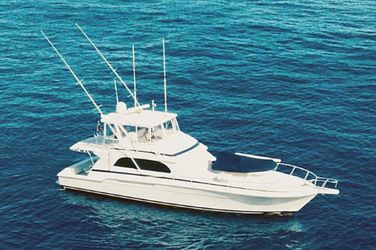 60' Bertram 1999