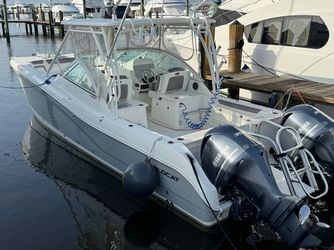 29' World Cat 2017