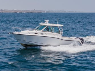 31' Boston Whaler 2015