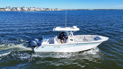 28' Sea Fox 2022