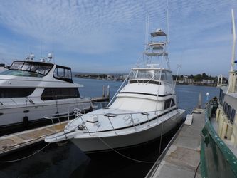 50' Bertram 1989