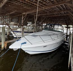 43' Formula 2001