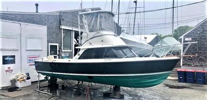 31' Bertram 1986
