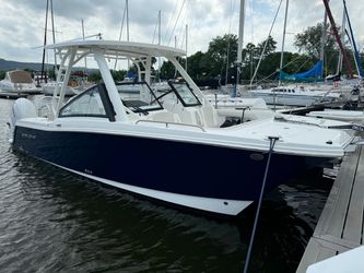26' World Cat 2024