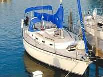 Tartan 33